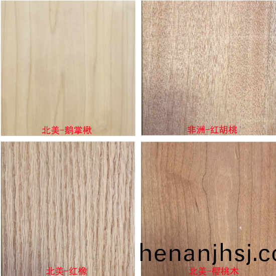 優質進(jin)口(kou)木材(cai)樣(yang)品(pin)展(zhan)示(shi).png